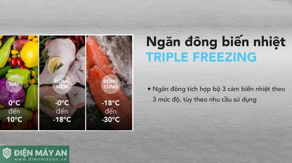 Tủ đông cánh kính Hòa Phát 352 Lít HPF AD6352.T1